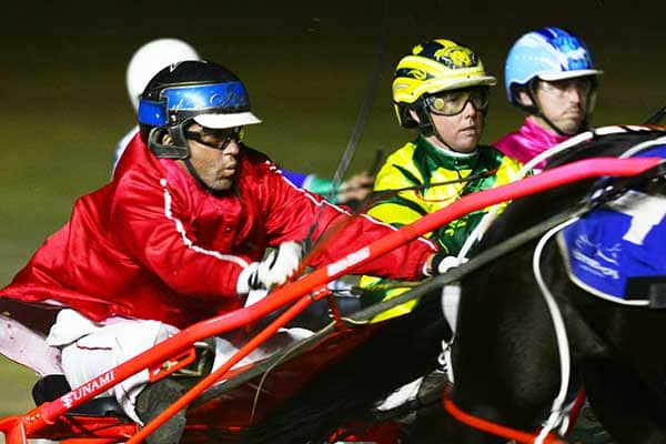 Photo for Harness Racing Night