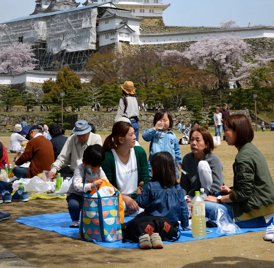 Three generations sharing a picnic on the grass